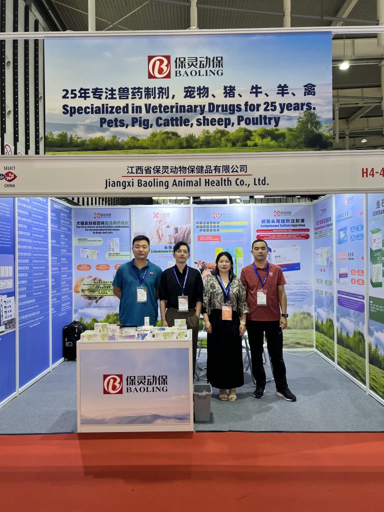 _20250914195618_104_86